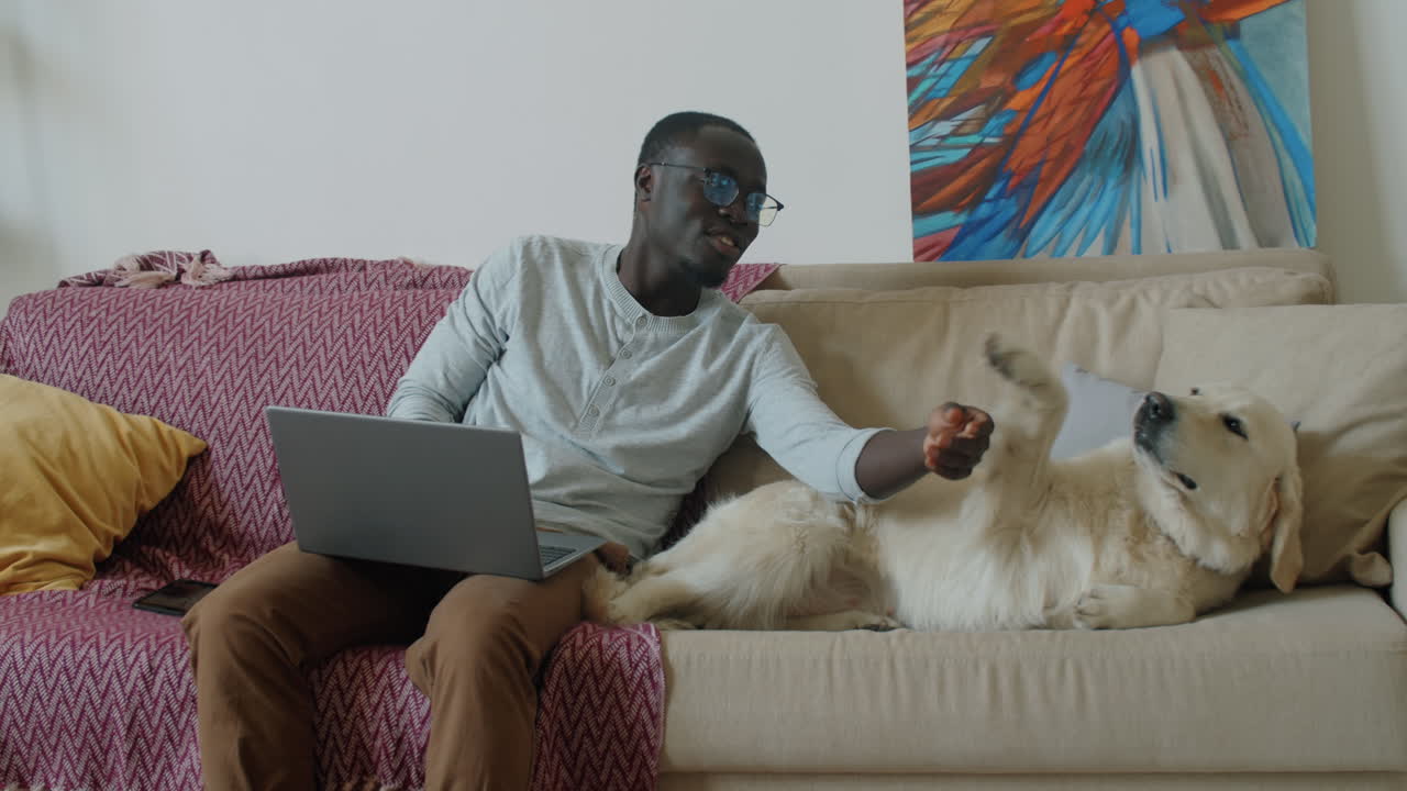 Happy African American Man Petting Golden Retriever Dog on Sofa at Home