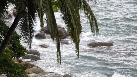 tropical ocean waves crashing on a rocky coastline with palm fronds