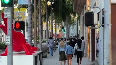 People Walking Down Famous Rodeo Drive In Beverly Hills, California. Slow Motion Shot.