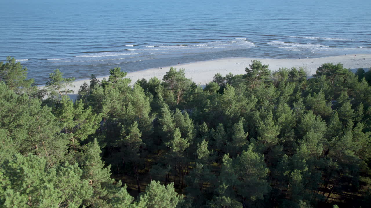 Inquadratura aerea in avvicinamento di una spiaggia e del Mar Baltico in Polonia durante una giornata di sole - Sorvolo di alberi della foresta su un'isola.