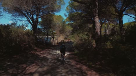 a young man cycling with a racing tour bike in a forest