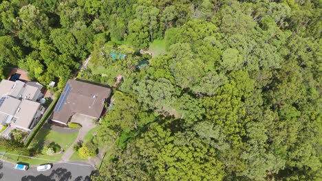 suburban houses surrounded by lush green trees