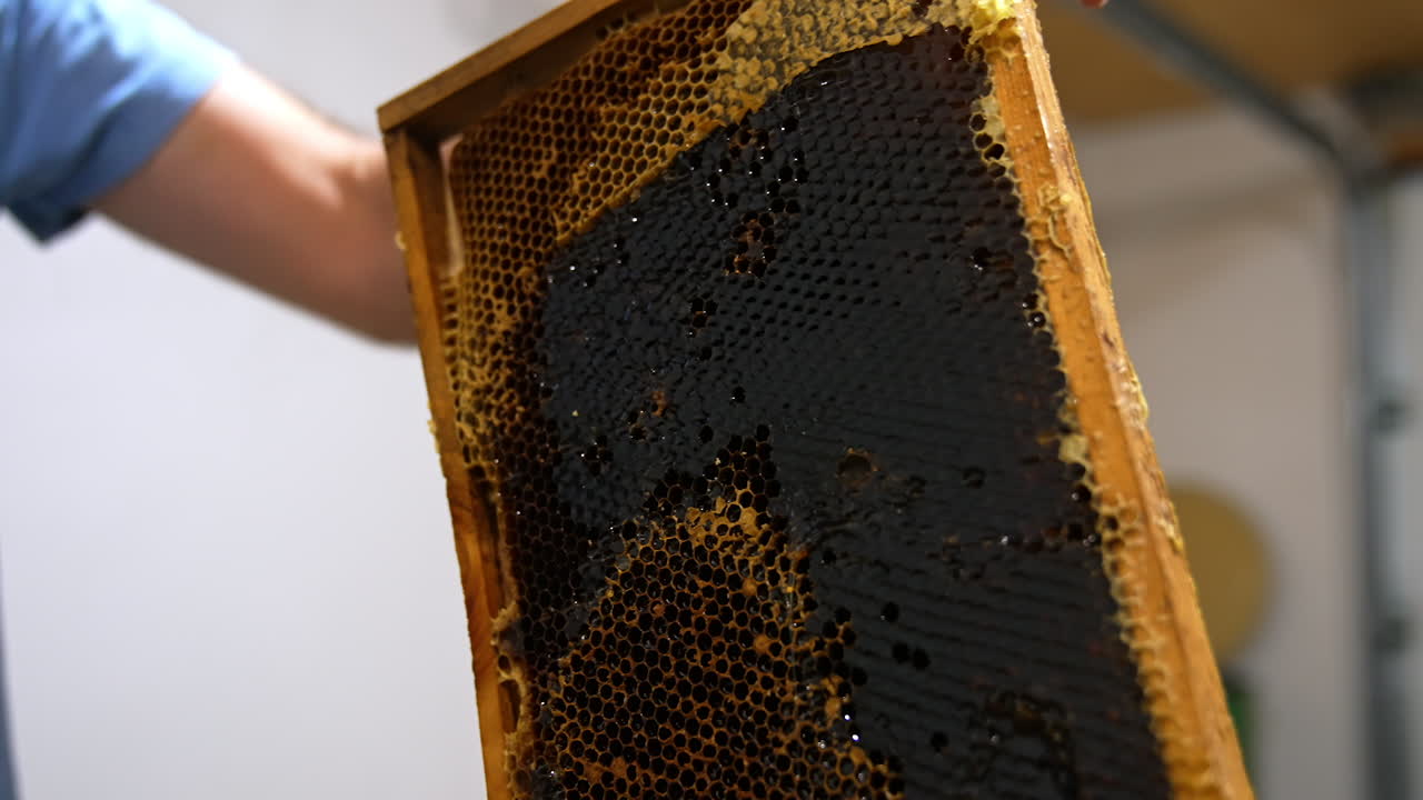 Male hands using the knife to uncover the sealed honeycombs. Apiculturist preparing frames for loading into centrifuge and honey extraction. Low angle view.