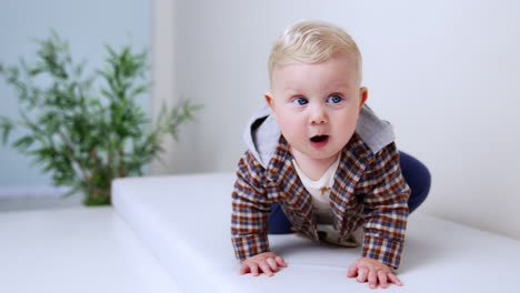 lovely smiling baby boy sits at the wall holding a wooden sign. kid crawls up to camera with interest. close up. white backdrop.