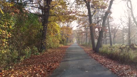 POV-Luftaufnahme-Auf-Straßenniveau,-Die-Sich-Während-Der-Herbstsaison-Mit-Reichlich-Blättern-Auf-Dem-Boden-Die-Straße-Entlang-Bewegt