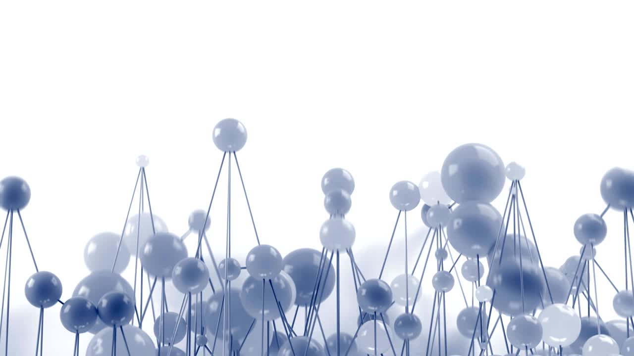 분자 네트워크 루프