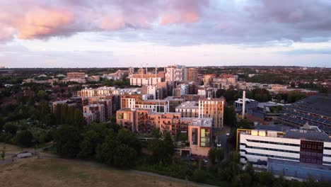 Drohnenaufnahme-Von-Verbrannter-Eiche-Im-Nördlichen-Londoner-Vorort-Bei-Wunderschönem-Sonnenuntergang,-England