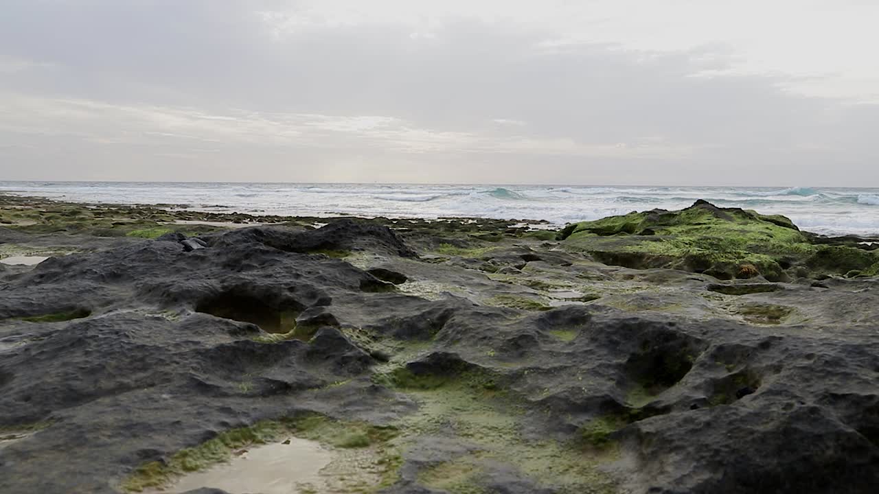 escena cinematográfica serena del océano con olas enrolladas en el fondo y rocas de musgo charcos de agua y guijarros en primer plano en porto santo - portugal 50 fps toma estática