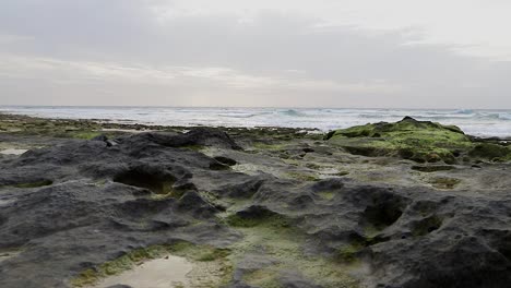 Ruhige-Filmische-Meeresszene-Mit-Aufrollenden-Wellen-Im-Hintergrund-Und-Moosfelsen,-Wasserpfützen-Und-Kieselsteinen-Im-Vordergrund-In-Porto-Santo-–-Portugal,-Statische-Aufnahme-Mit-50-Bildern-Pro-Sekunde