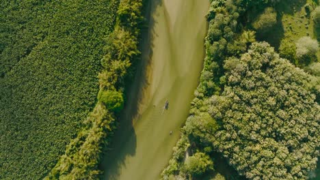 aerial view flying over the river, colombia