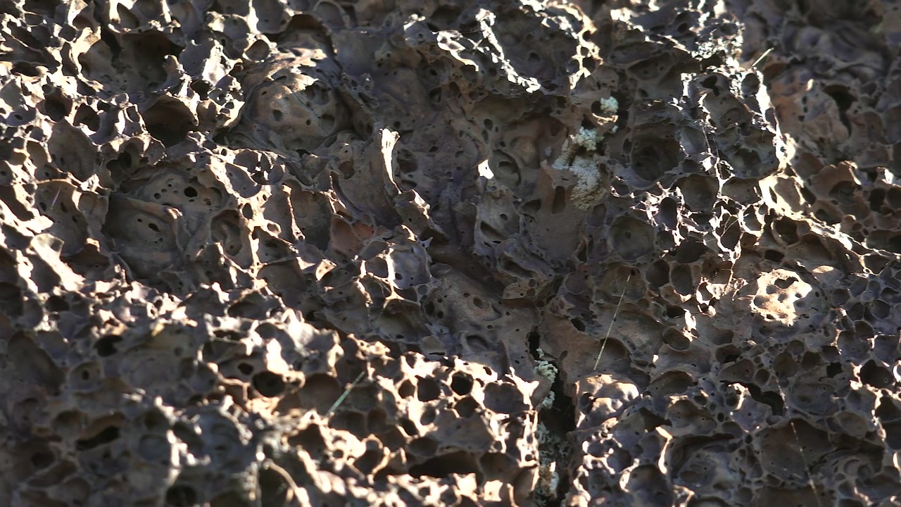 Close-up of Porous Volcanic Rock Texture