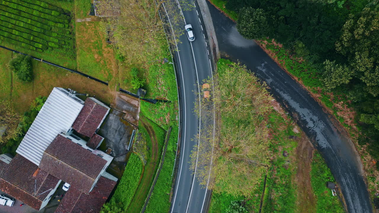 아스팔트 도로를 달리는 숲. 그림 같은 고속도로를 타는 자동차의 공중  뷰