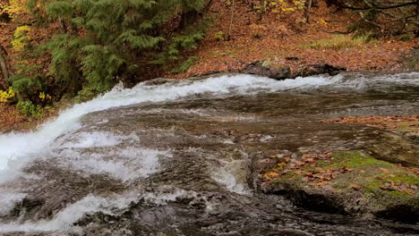 a stream flowing over mossy rocks on the leaf covered autumn forest floor