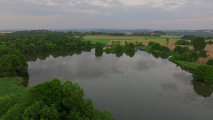 Aerial View of a Serene Lake Surrounded by Lush Greenery