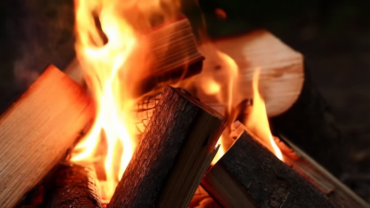 Close-up of a Campfire with Burning Logs