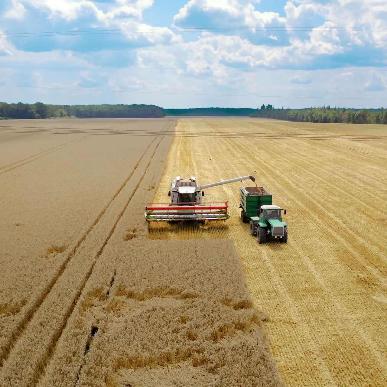 Combine harvester collect ripe wheat. Combine harvesting golden ripe wheat field, pours grain crop to tractor