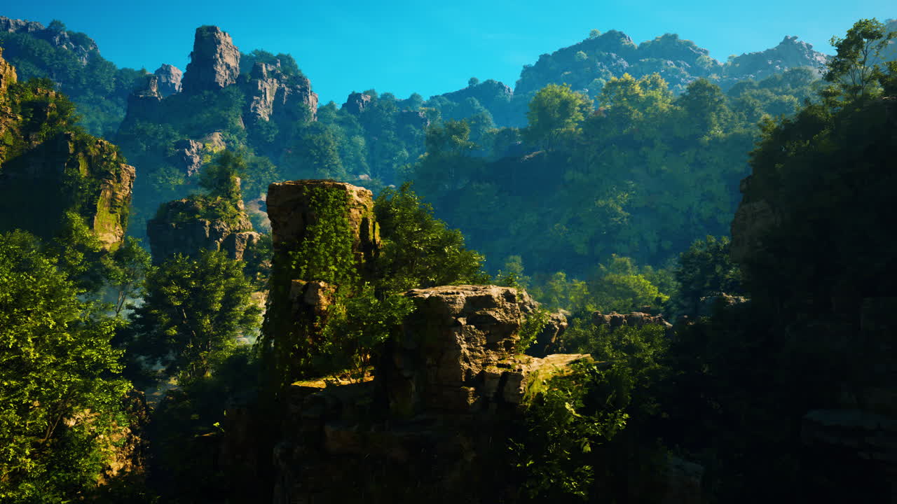 울창한 초록 숲과 바위 절벽이 있는 산악 풍경