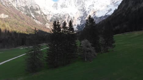pradera con pocos árboles en medio de las montañas