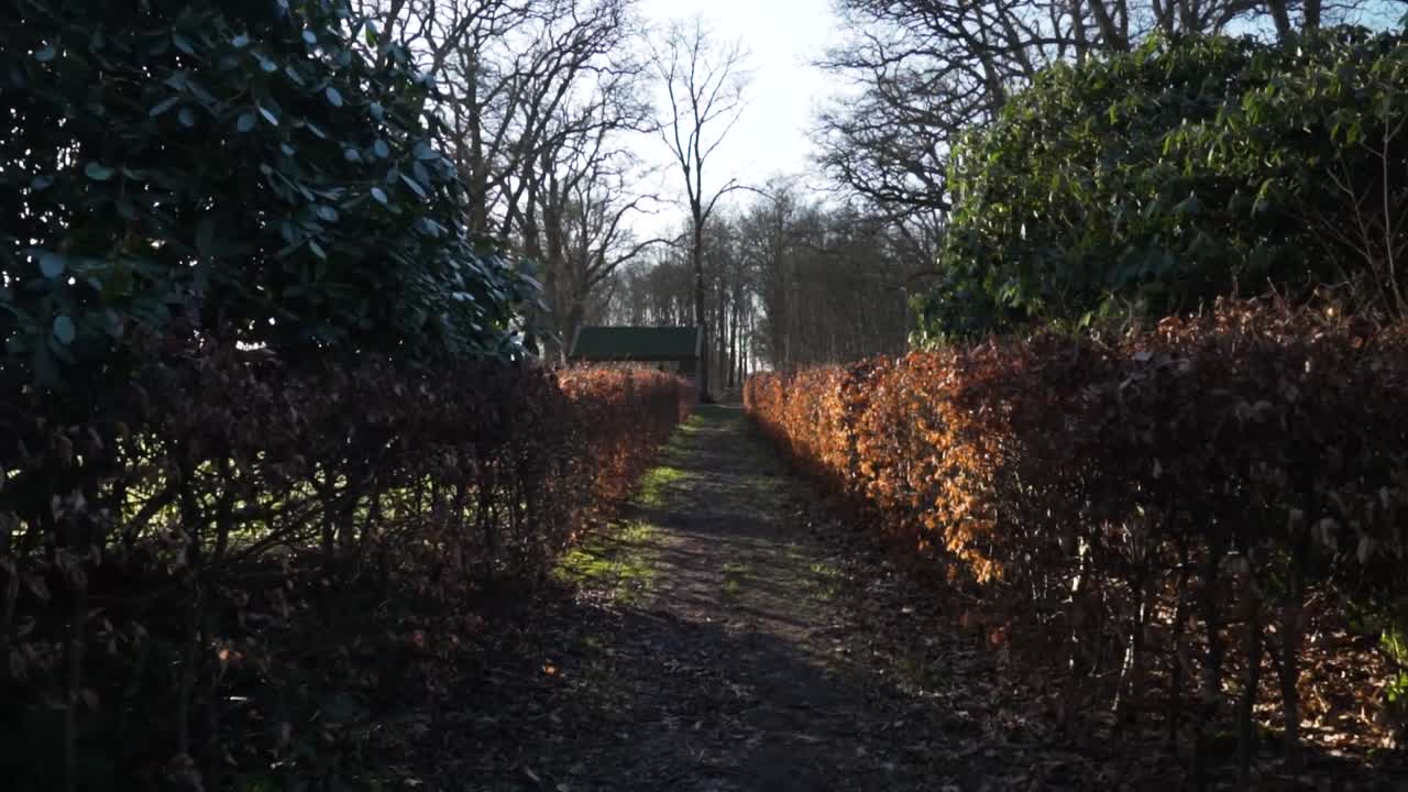 울타리 가 있는 겨울 숲 을 가로질러 가는 길