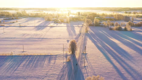 Early-winter-morning-with-golden-sunlight-and-long-shadows