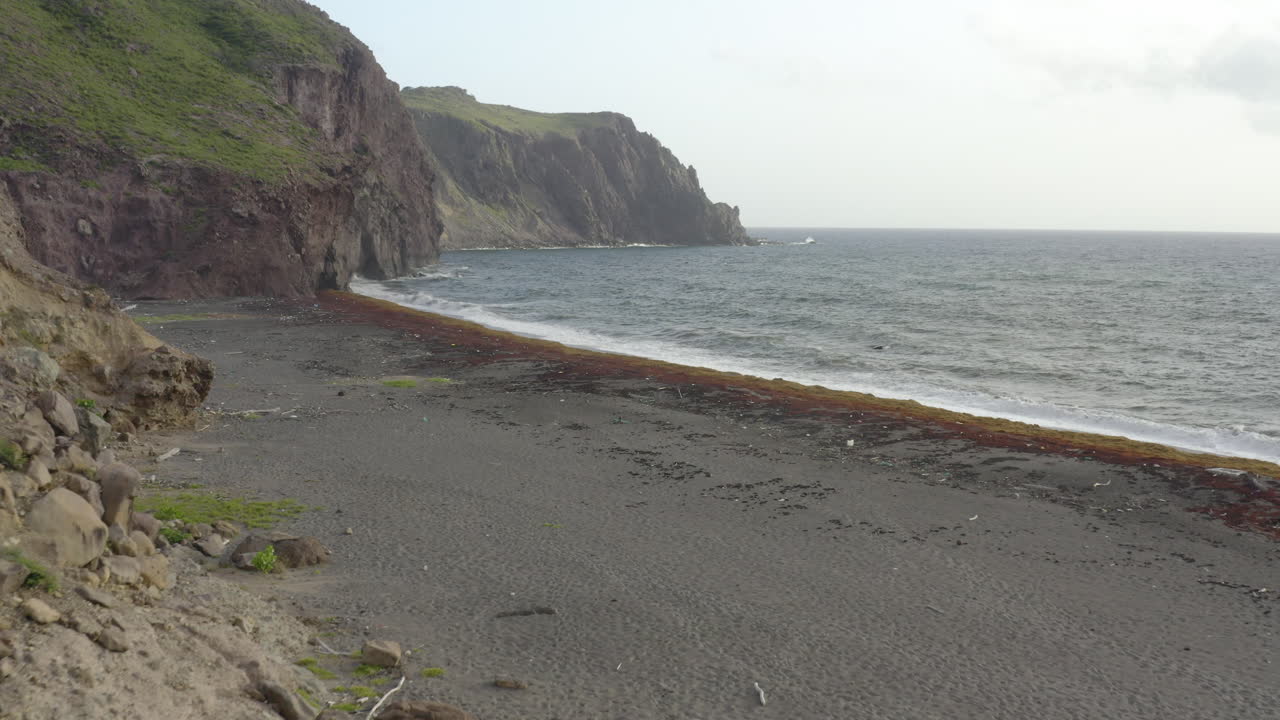 Abandoned Caribbean beach, dawn. Smooth fly in, from the foliage onshore to the black sand, then out to sea. Part 2 of 2.4K UHD at 23.98 fps