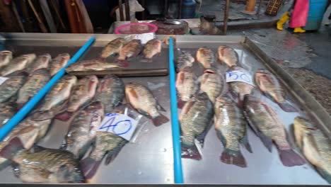 arranging and selling fish at a market stall