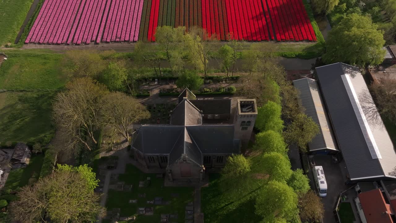 Luftfoto af blomstrende tulipaner og landsbykirke i landlige Stompetoren