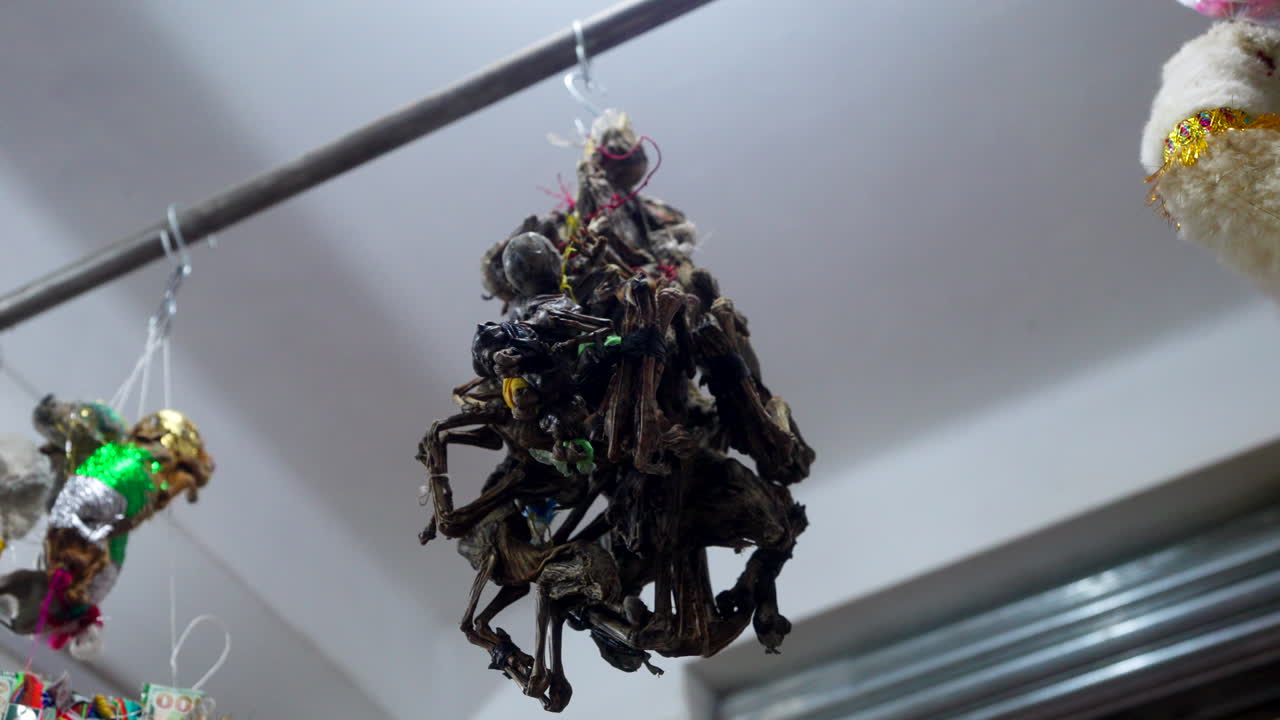 Close-up of dried frogs tied together and hanging in a market stall in La Paz, Bolivia. Used in traditional Andean rituals and spiritual offerings for health and fortune