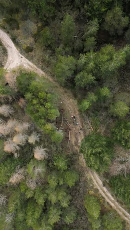 hikers at a crossroads in a forest near manteigas captured from above on a cloudy day with rich greenery