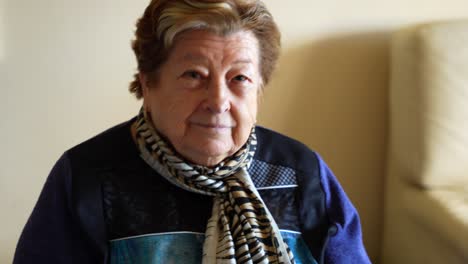 portrait of an elderly woman with a scarf
