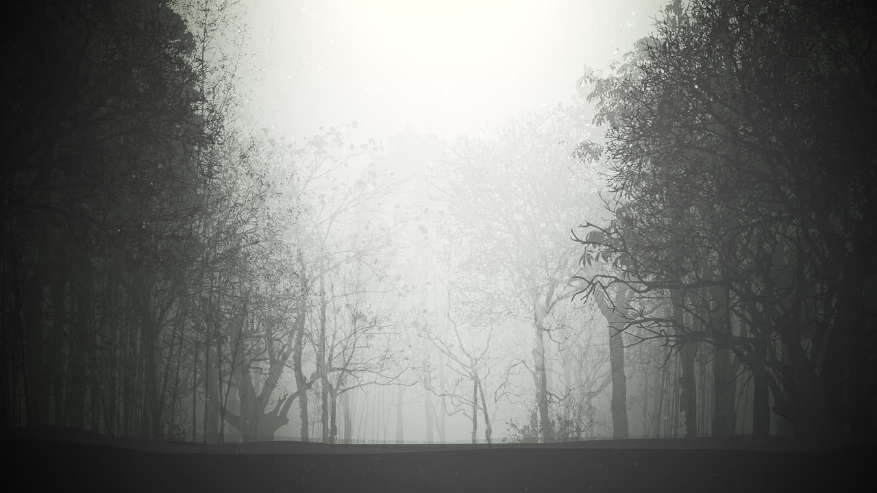 어두운 숲과 안개가 있는 애니메이션 텍스트 속임수 또는 치료 및 신비로운 배경