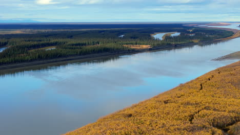 peel river with deciduous autumn forests near fort mcpherson in northwest territories, canada. aerial shot