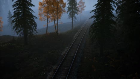 national forest recreation area and the fog with railway