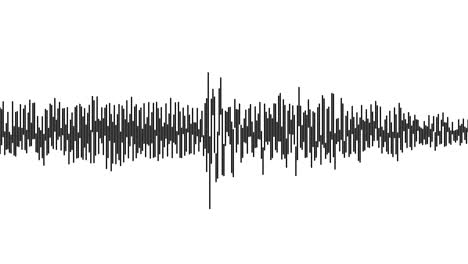 Ein-Einfacher-Schwarz-Weiß-Audio-Visualisierungseffekt-5