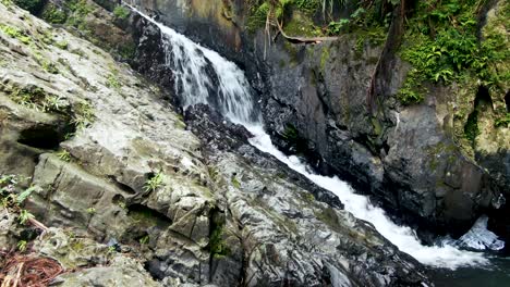 el agua fluye por las rocas con hojas verdes en el yunque, puerto rico