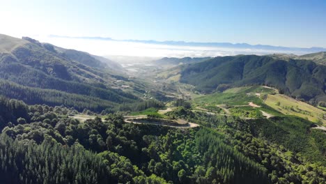 aerial view of takaka hill valley, with a winding road through lush vegetation, new zealand