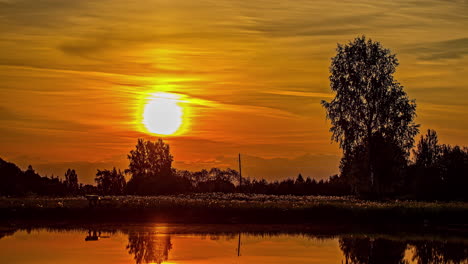 vibrant golden sunrise over a pond with the brilliant colors reflecting off the water - time lapse