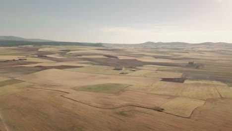 en observant la vue de vastes champs agricoles à la lumière du soleil