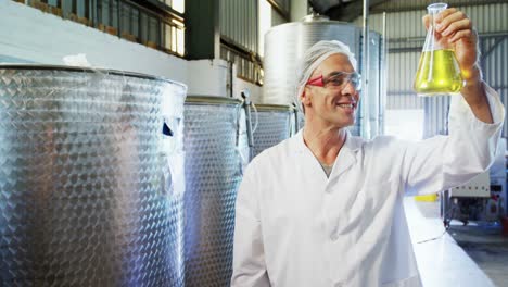 técnico que examina el aceite de oliva