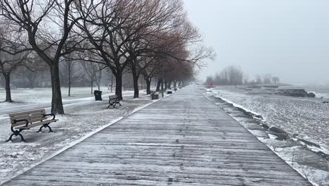 empty benches under bare trees in a public park during snowstorm