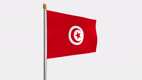 loop video of tunisia flag  fluttering in the wind, slow motion video of 4k , with alpha channel
