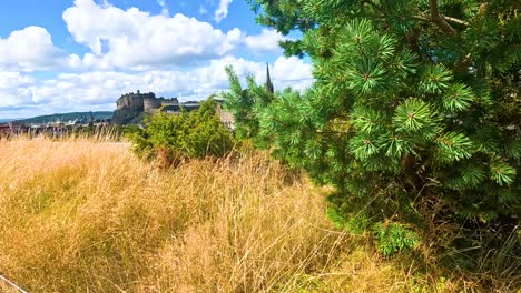 edinburgh cityscape with castle and grassy rooftop