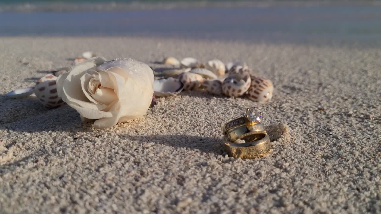 가까이  장미 꽃, 데기 및 반지 모래 해변에서 결혼, 바다 배경