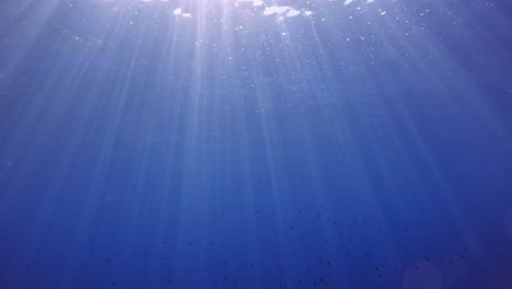 underwater view of the clear waters tilting upwards towards the rippling surface with sunlight beaming through and a school of fish in the background in paralia emplisi beach - upward moving shot