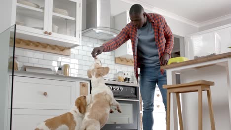 african american man giving food to his pet dogs in kitchen at home, slow motion