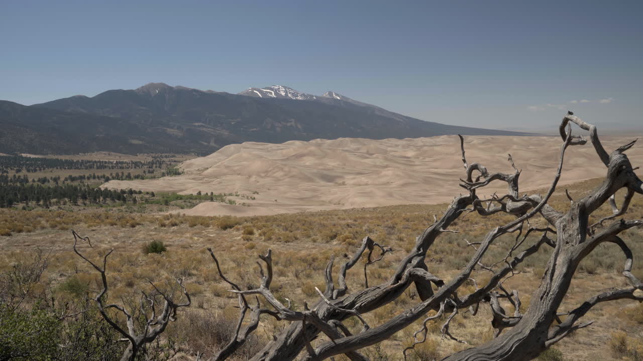 vista panorámica del gran parque nacional de dunas de arena con árbol de pinyon-juniper