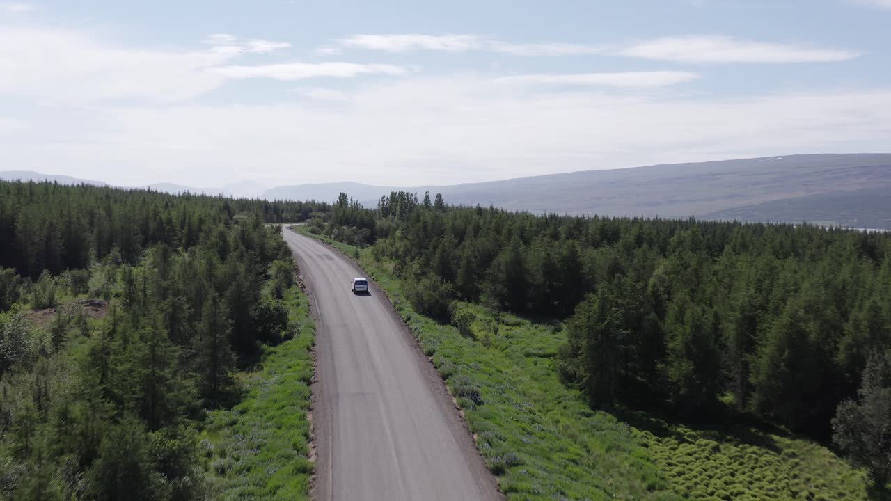 경치 좋은 도로에서 자동차를 운전하는 동아이슬란드의 무성한 초목, 공중