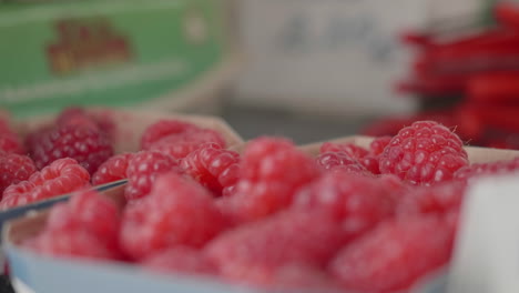 focus pull of raspberries in small boxes at a local farm shop, handheld close-up