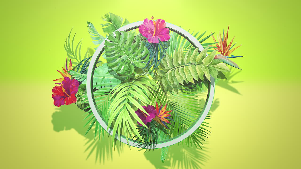 근접 촬영 열 대 꽃과 잎 여름 배경 5