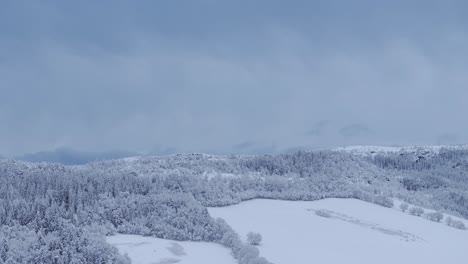 aerial panoramic view of snow-covered landscape with trees heavily laden with snow